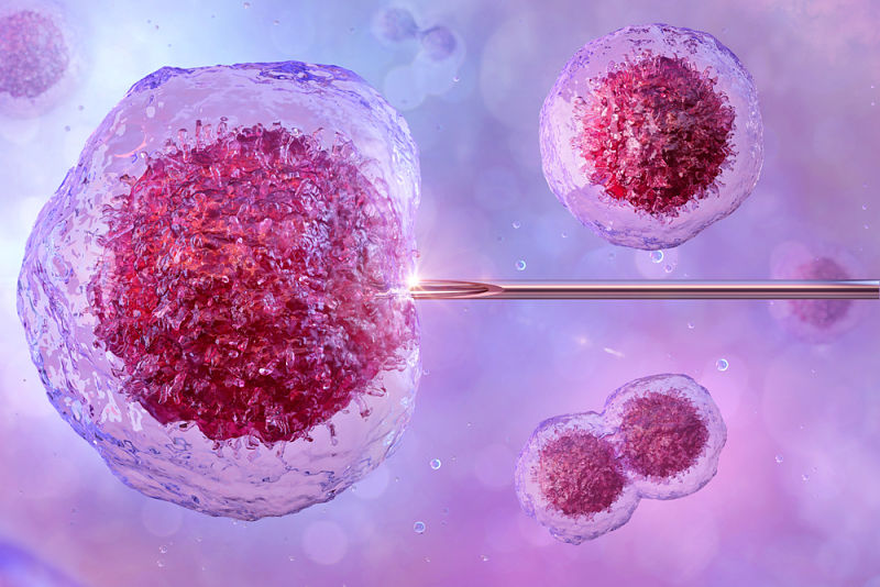 Pasos-y-proceso-de-la-fecundacion-in-vitro