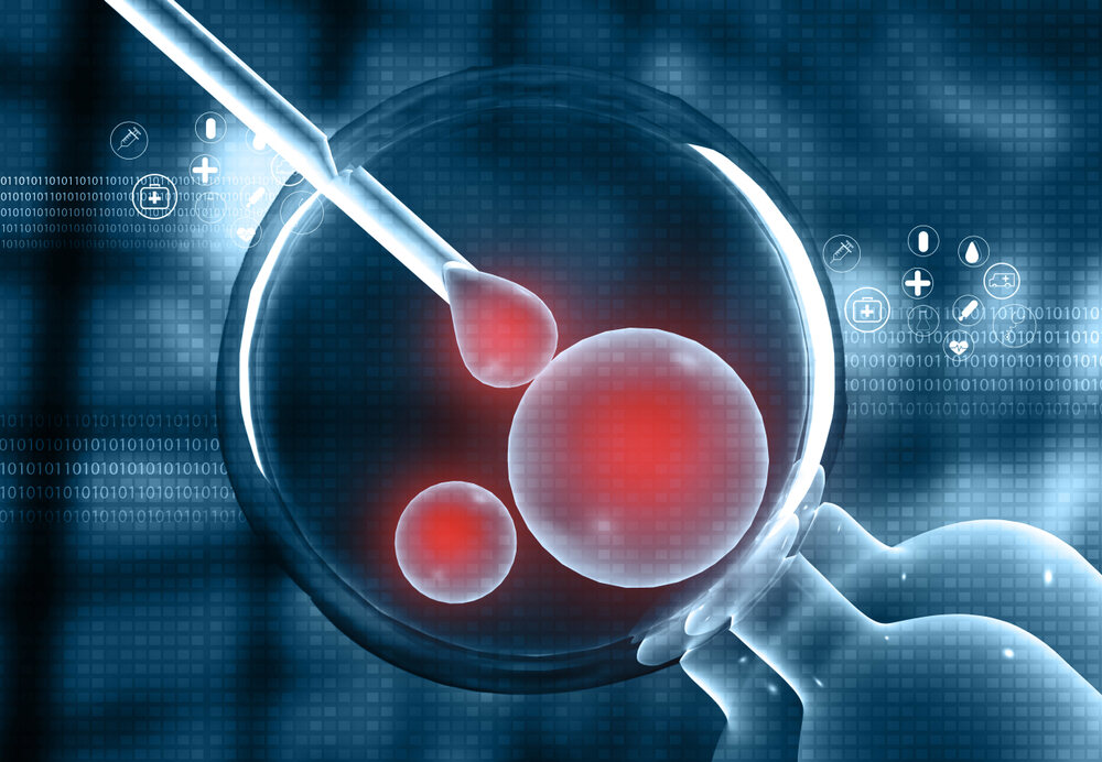 4-pruebas-de-fertilidad-comunes